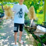Subin viet huong
